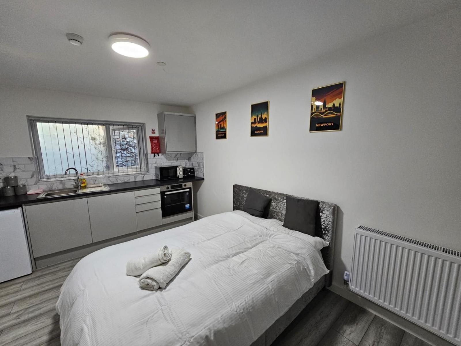 Cosy Cardiff Apartments - Garden Lounge المظهر الخارجي الصورة